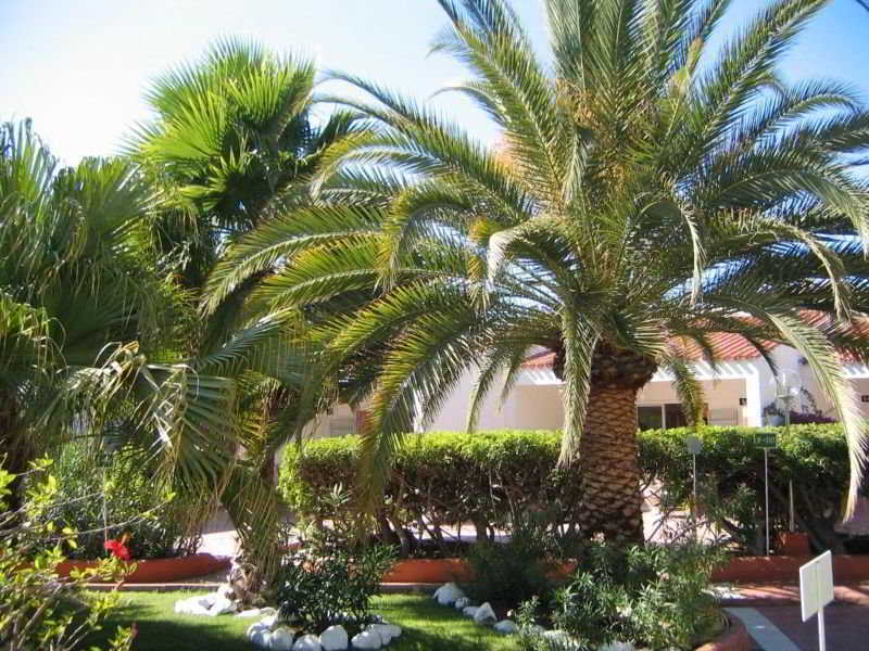 Parque Paraiso I プラヤ・デル・イングレス エクステリア 写真